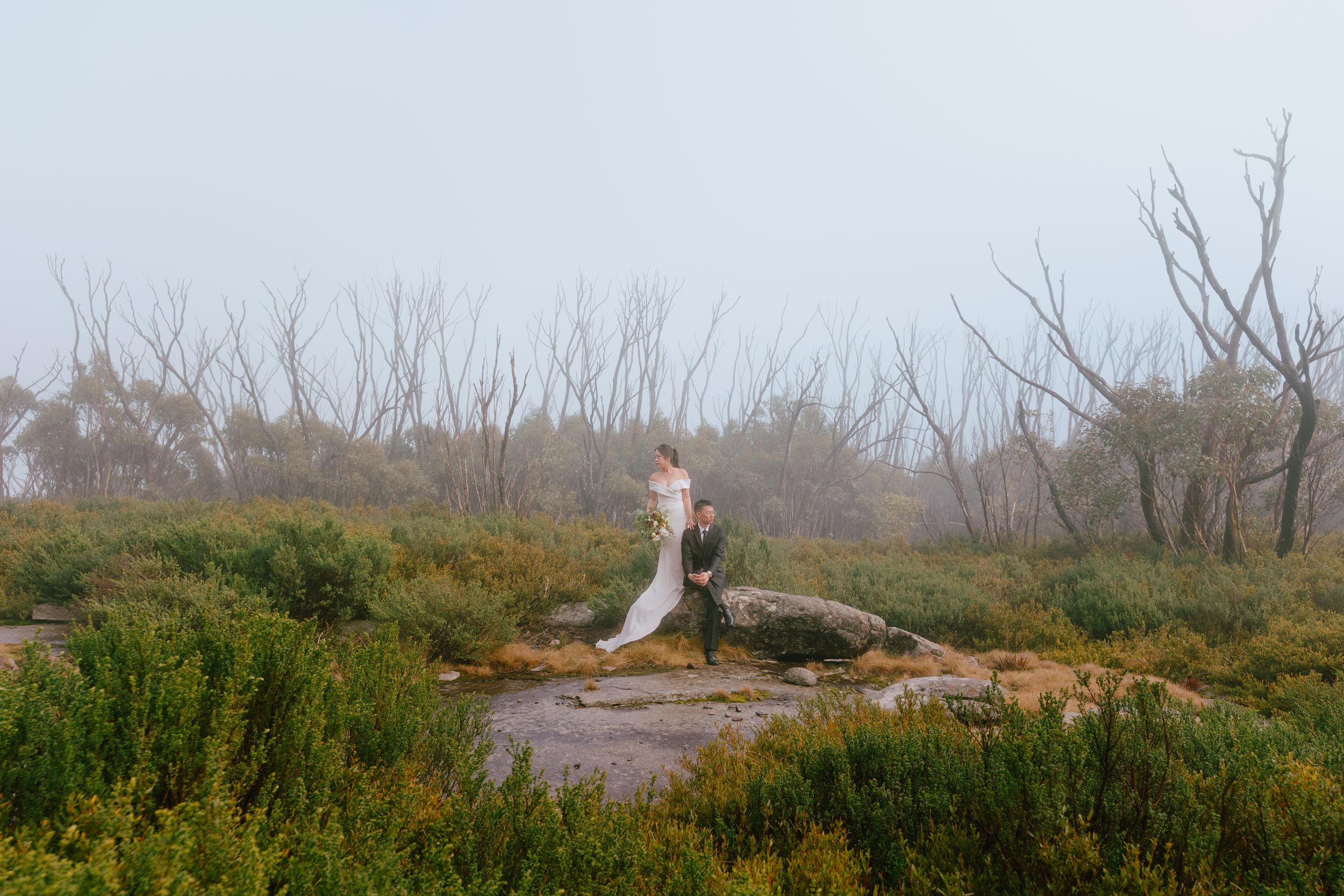 A panoramic view of a desolate landscape with fallen trees and scattered debris after a storm.