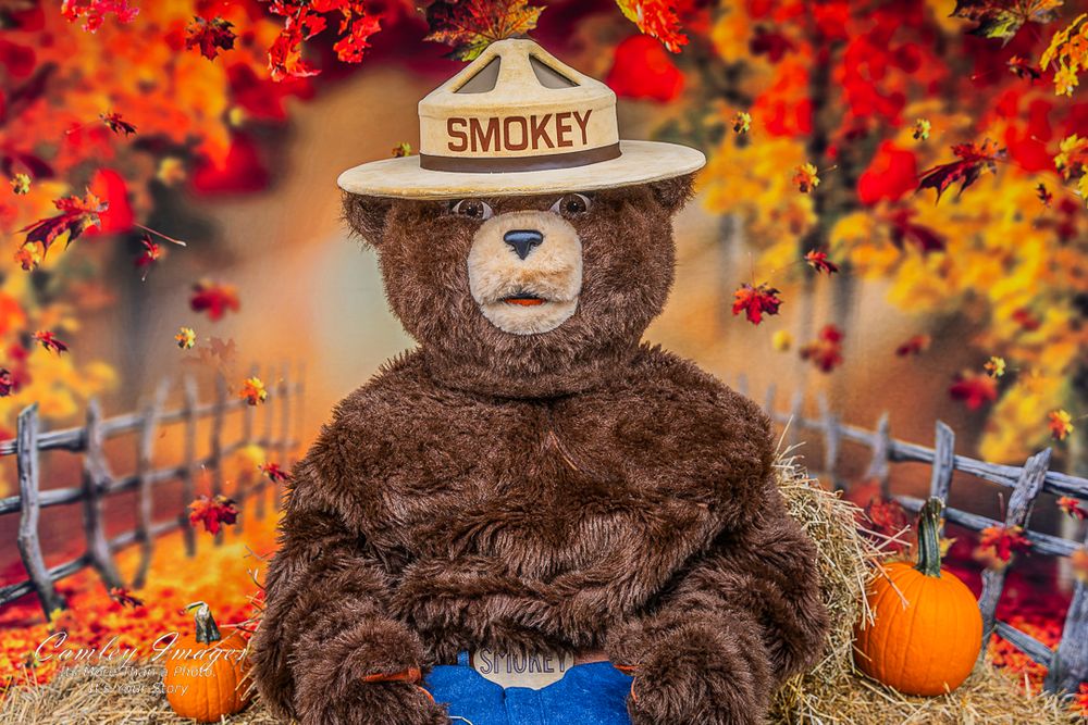 A brown teddy bear mascot sits surrounded by colorful fall foliage, pumpkins, and wooden fencing in an autumn display.