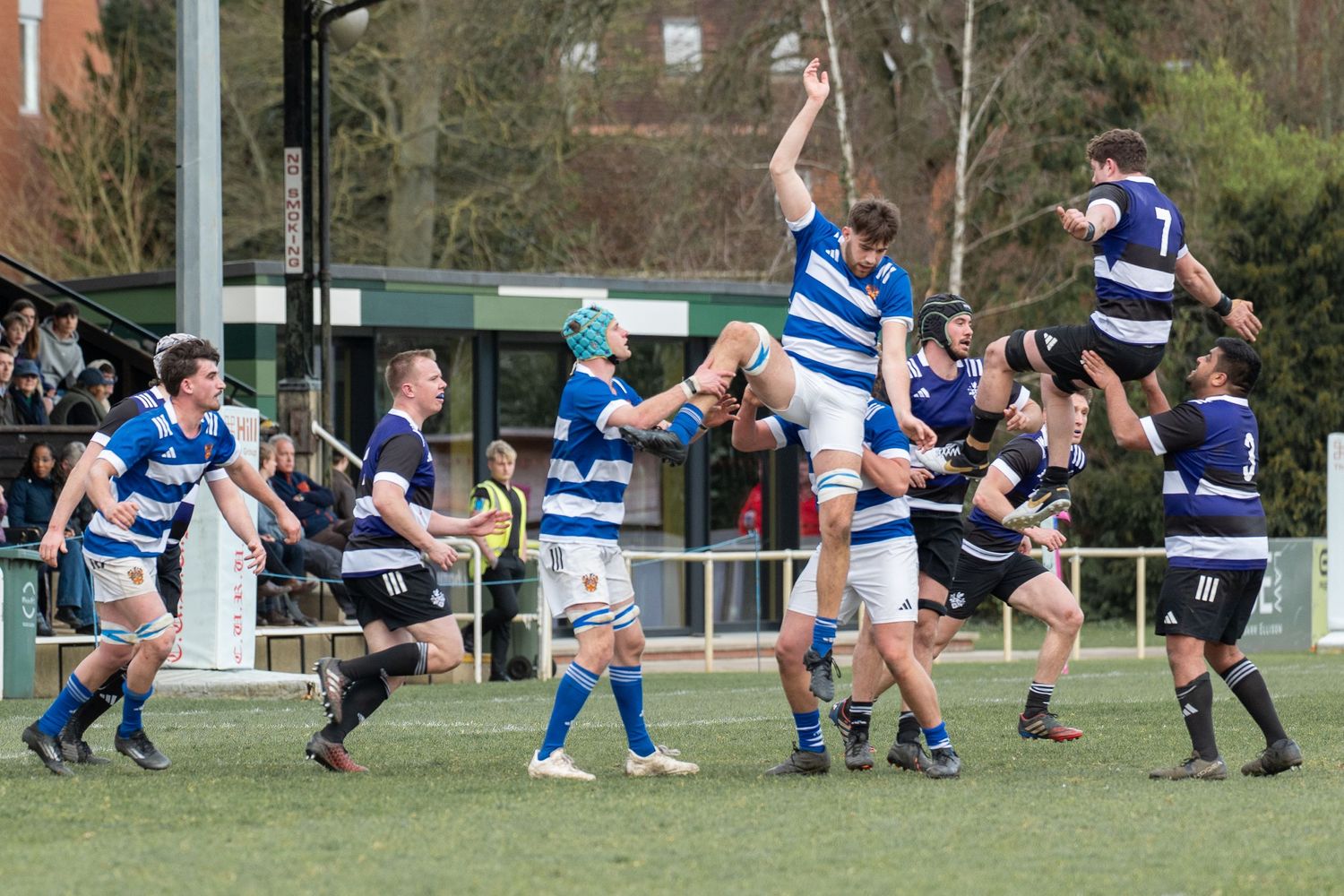 Rugby players leap high during a lineout play between teams in blue and white striped versus dark uniforms.