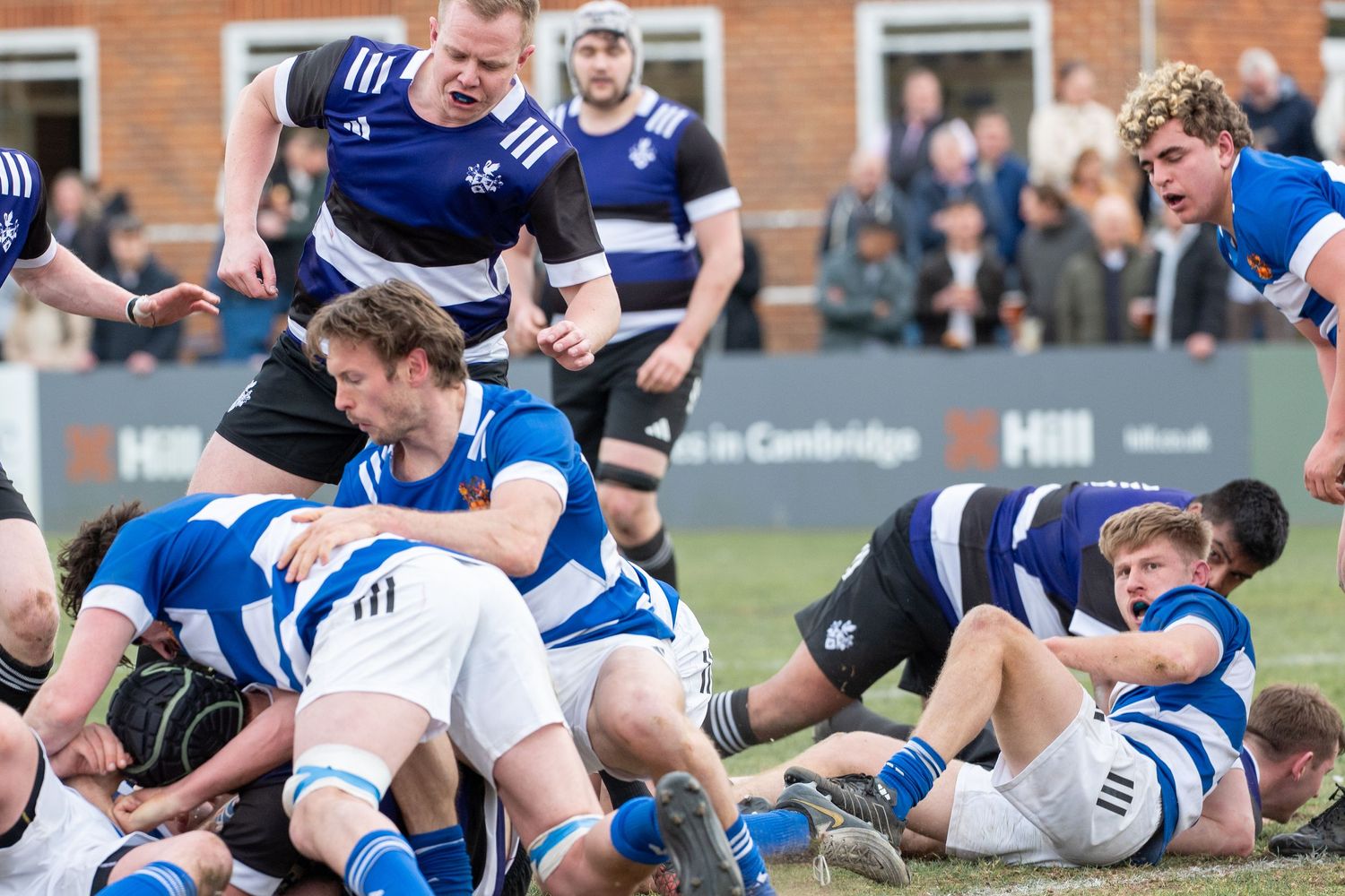 Rugby players battle in a scrum during an intense match on a grass field.