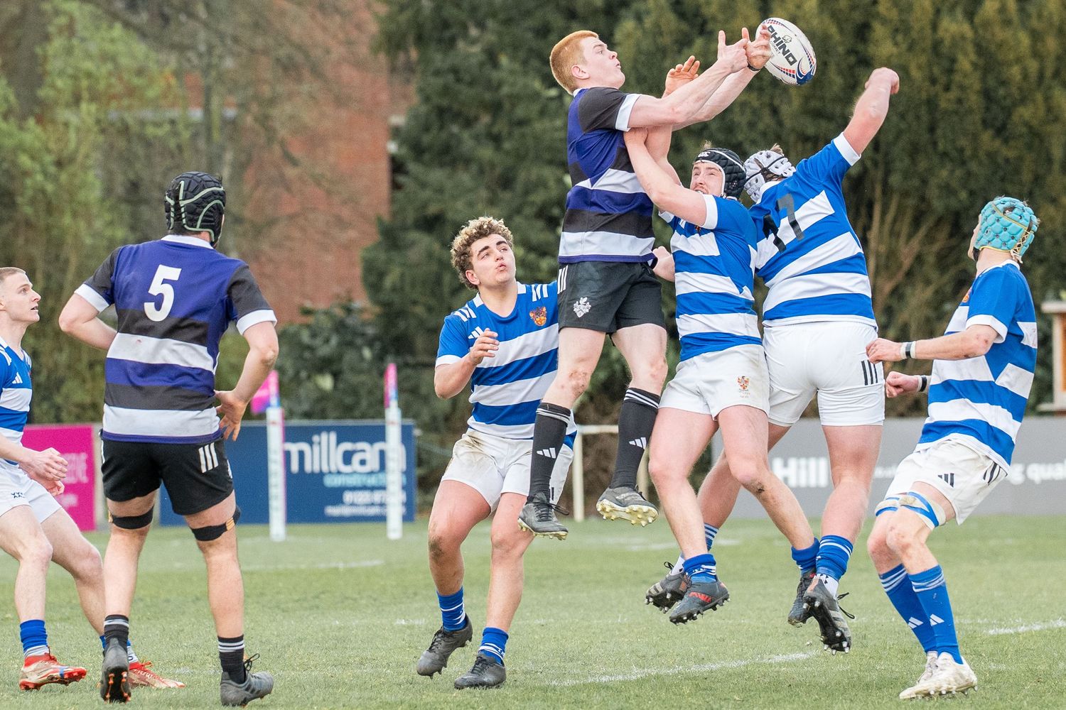 Players compete for the ball during a rugby lineout jump on a sunny afternoon.