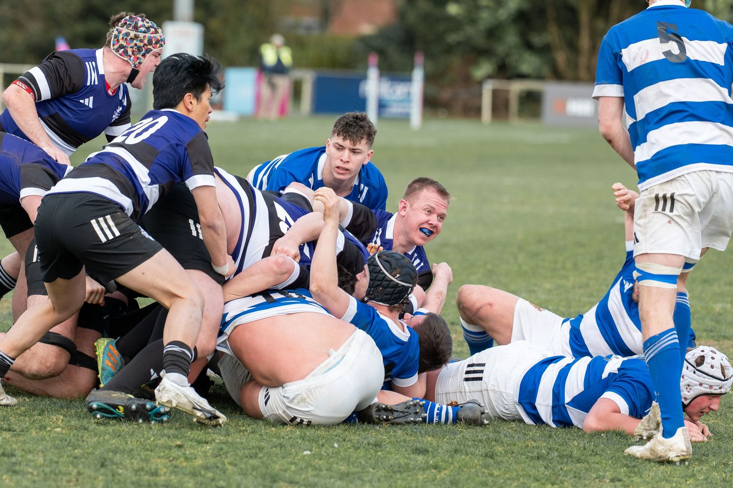 Rugby players from two teams battle for possession during a scrum on the field during a match.