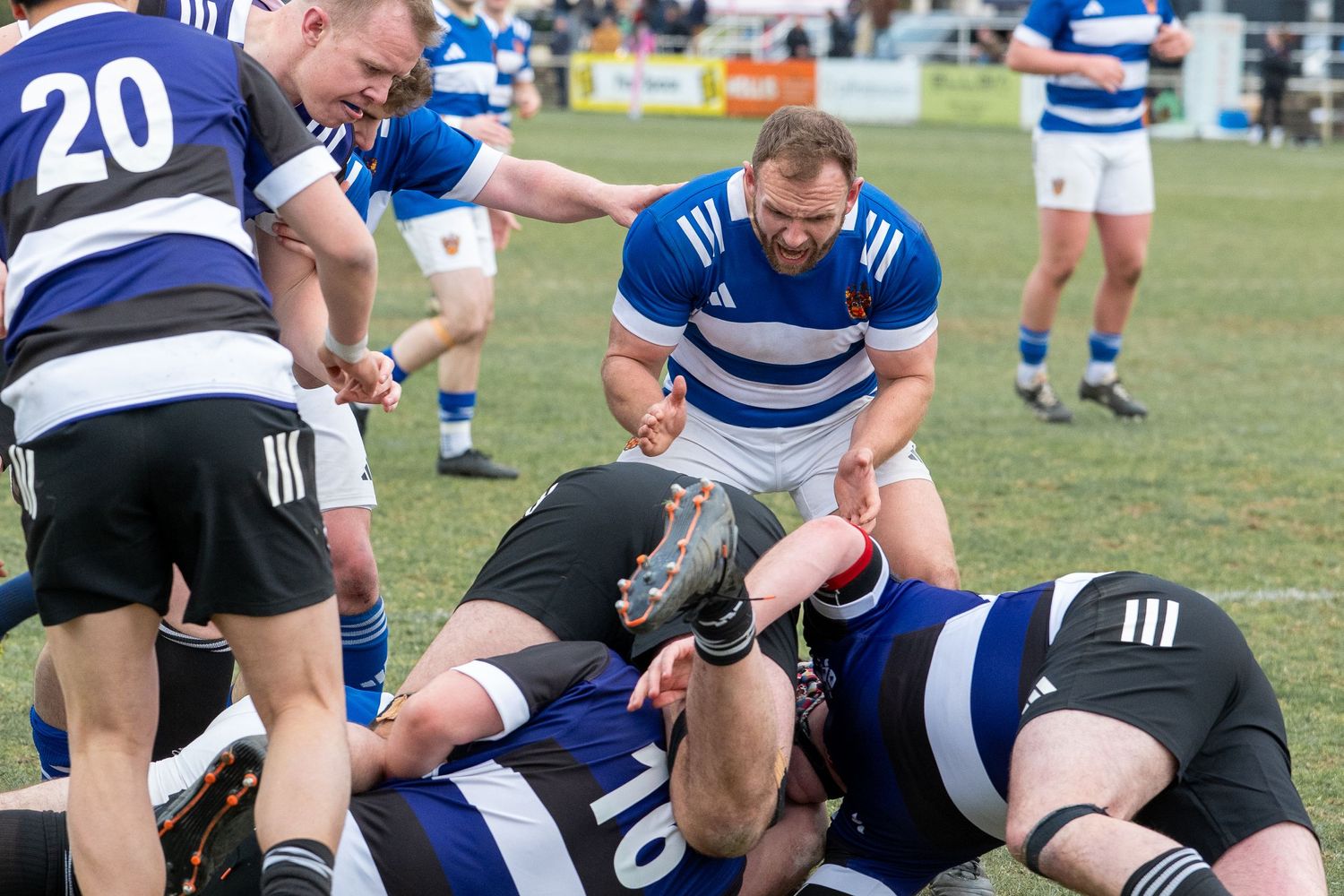 Rugby players engage in a physical ruck formation during a competitive match.