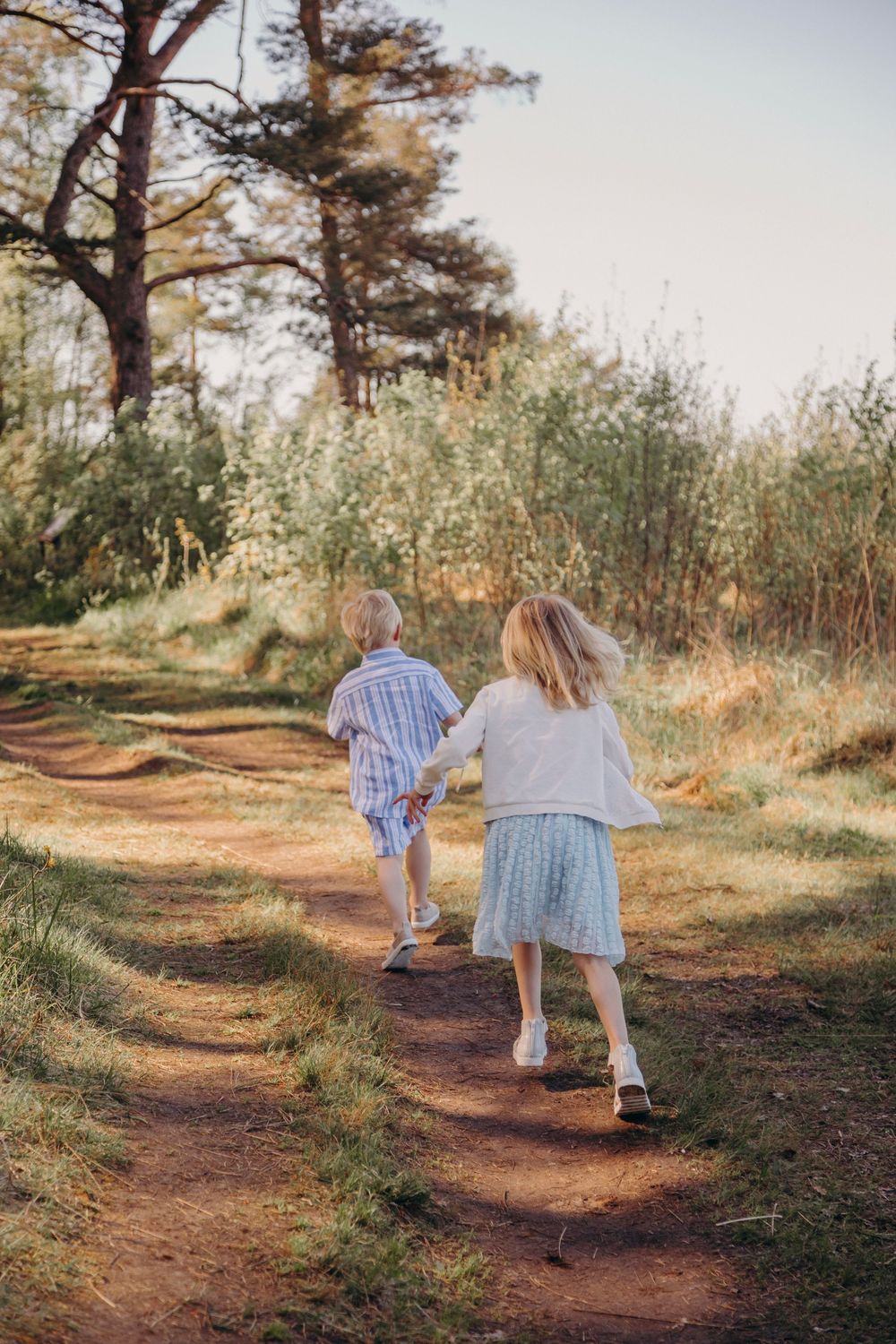 Two figures walk along a scenic dirt trail through tall grass and pine trees at golden hour.