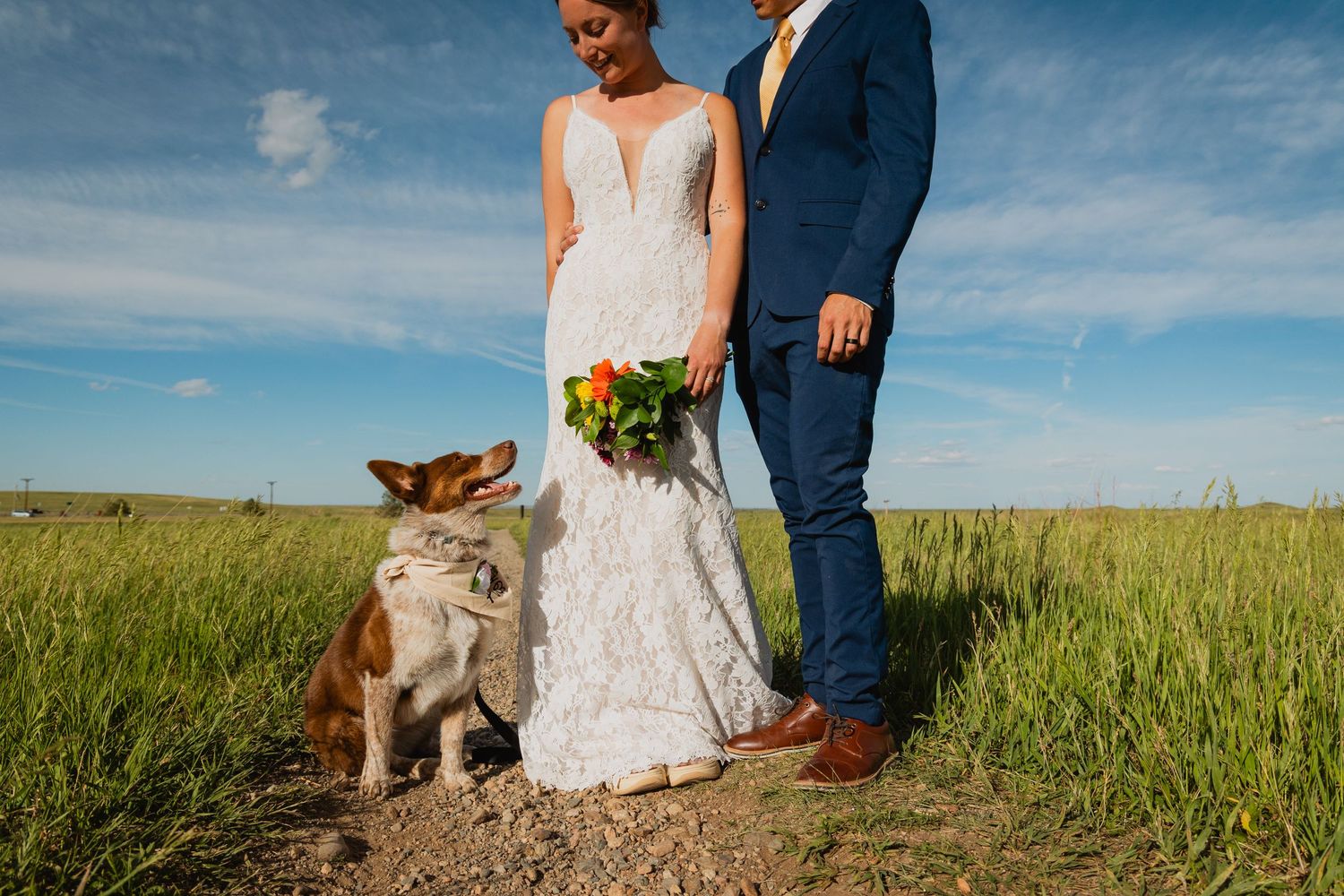 Wedding couple stands in sunny field with Australian Shepherd dog sitting beside their legs on grassy path.