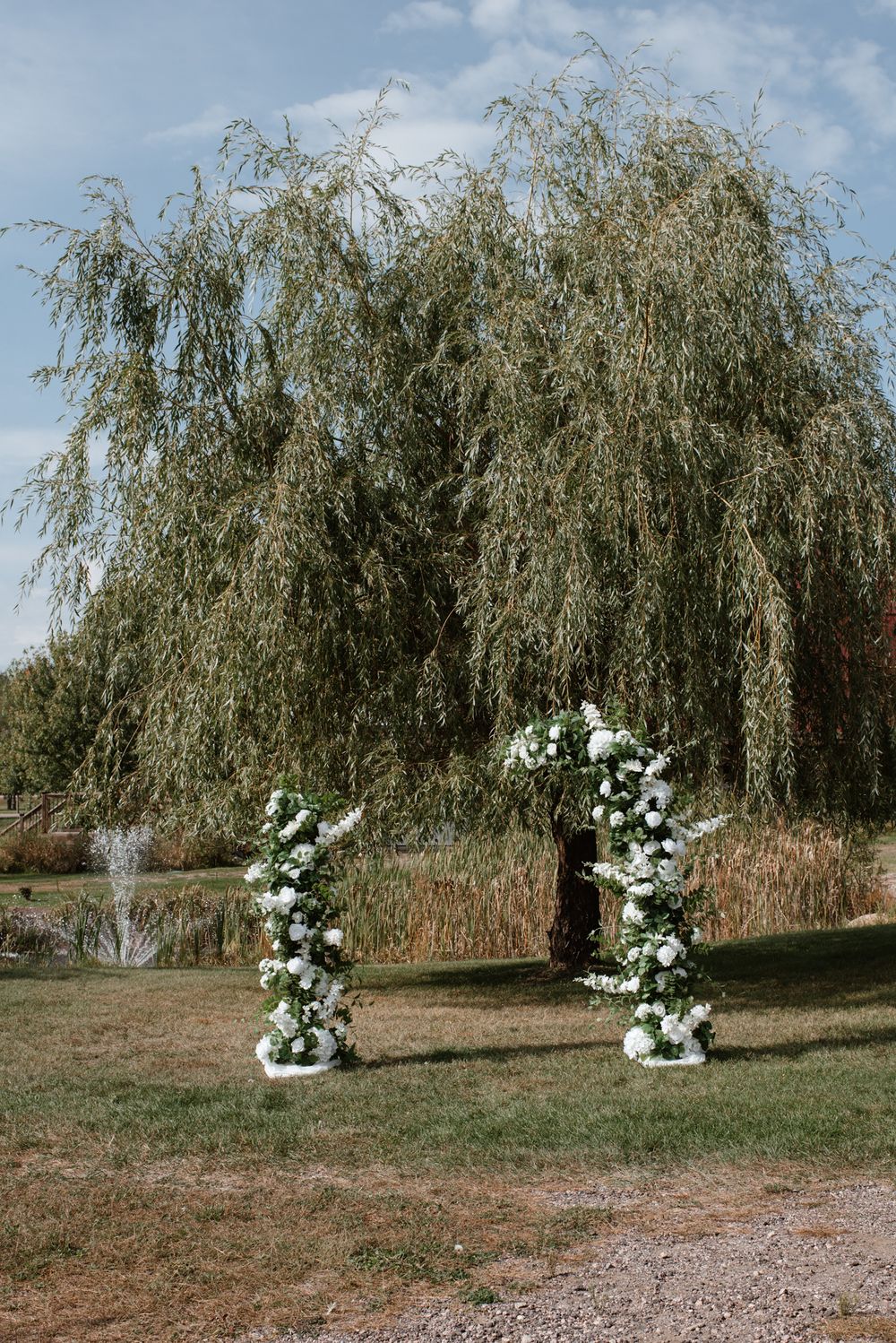 White floral wedding arch decorated with roses stands beneath a dramatic weeping willow tree against a blue sky.