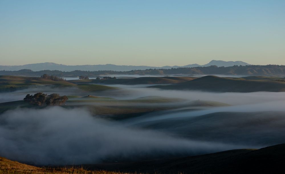 West Petaluma Morning
