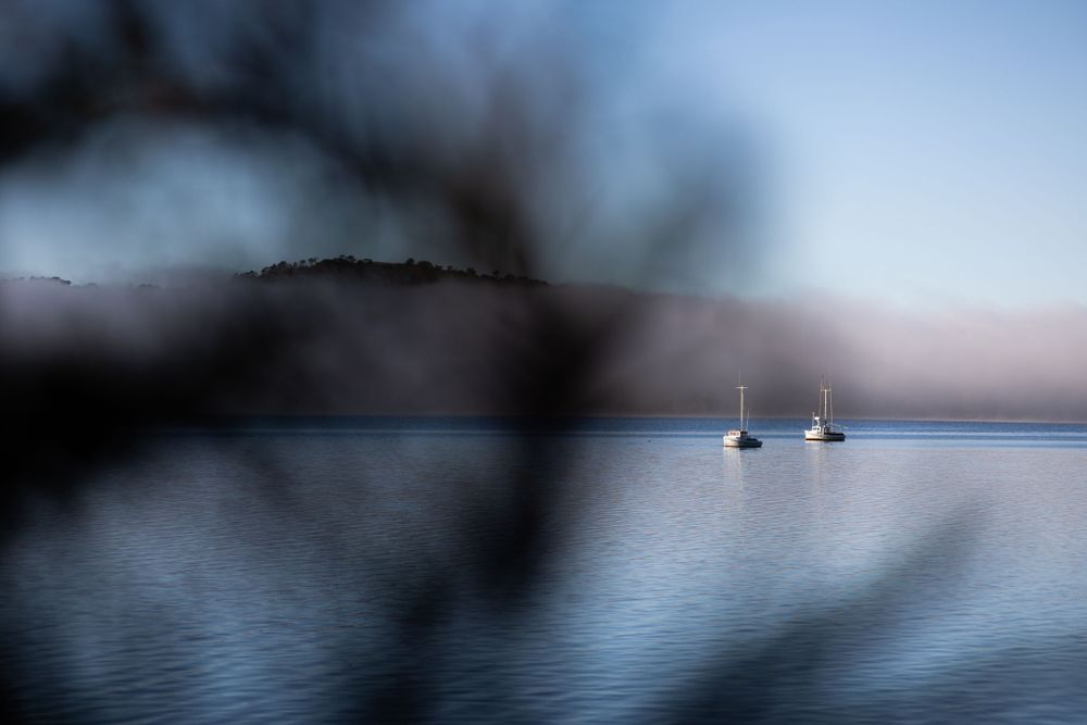 Tomales Bay Morning