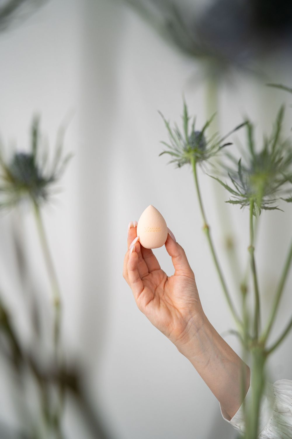 Hand holding beauty sponge with decorative plants in background.