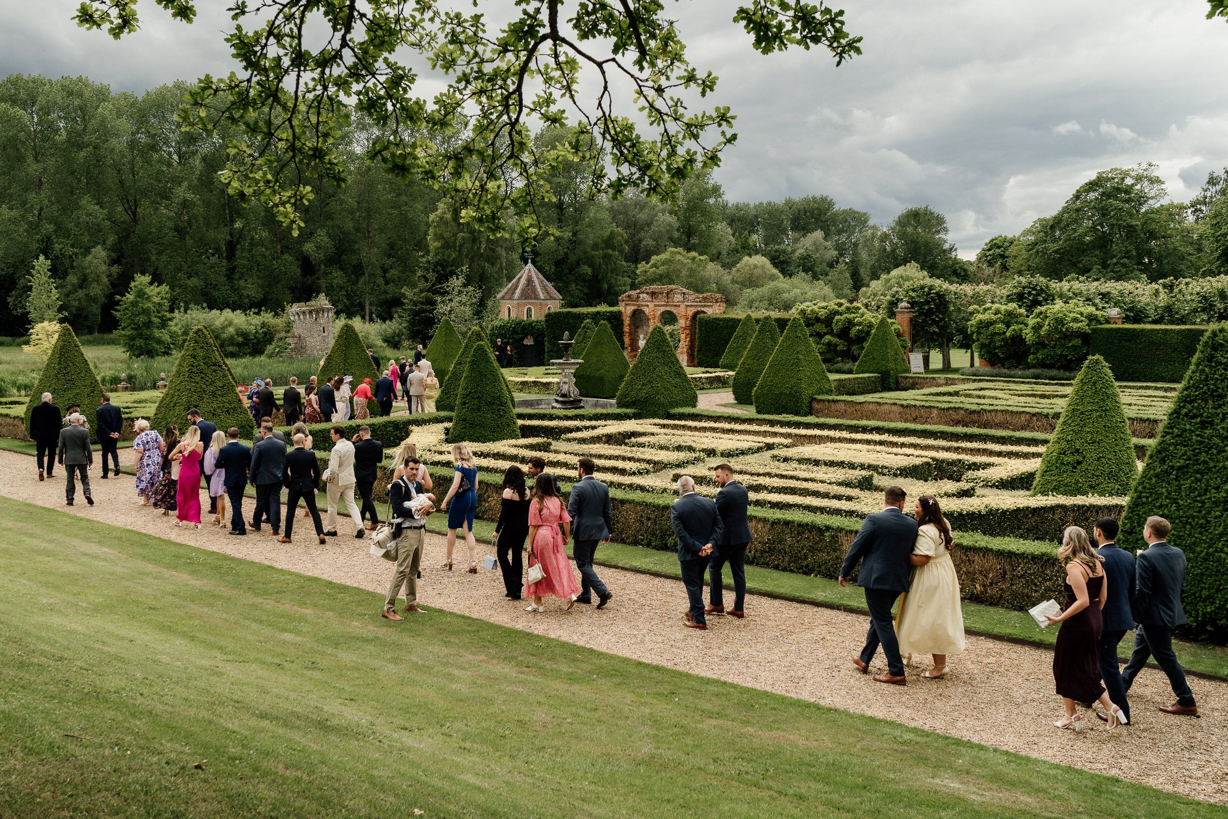 Large wedding party walking through an ornate formal garden with manicured hedges Oxnead Hall Wedding.