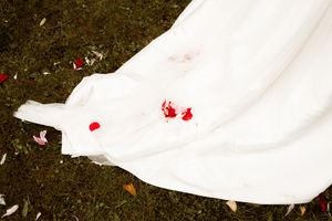 White flower petals scattered on dark soil contrasting with vibrant red rose petals in a garden setting.