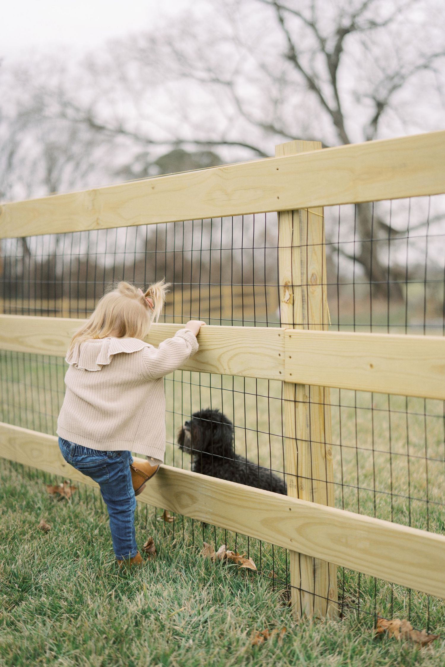 Person installing a wooden fence by attaching wire mesh panels between pressure-treated posts in a grassy field.