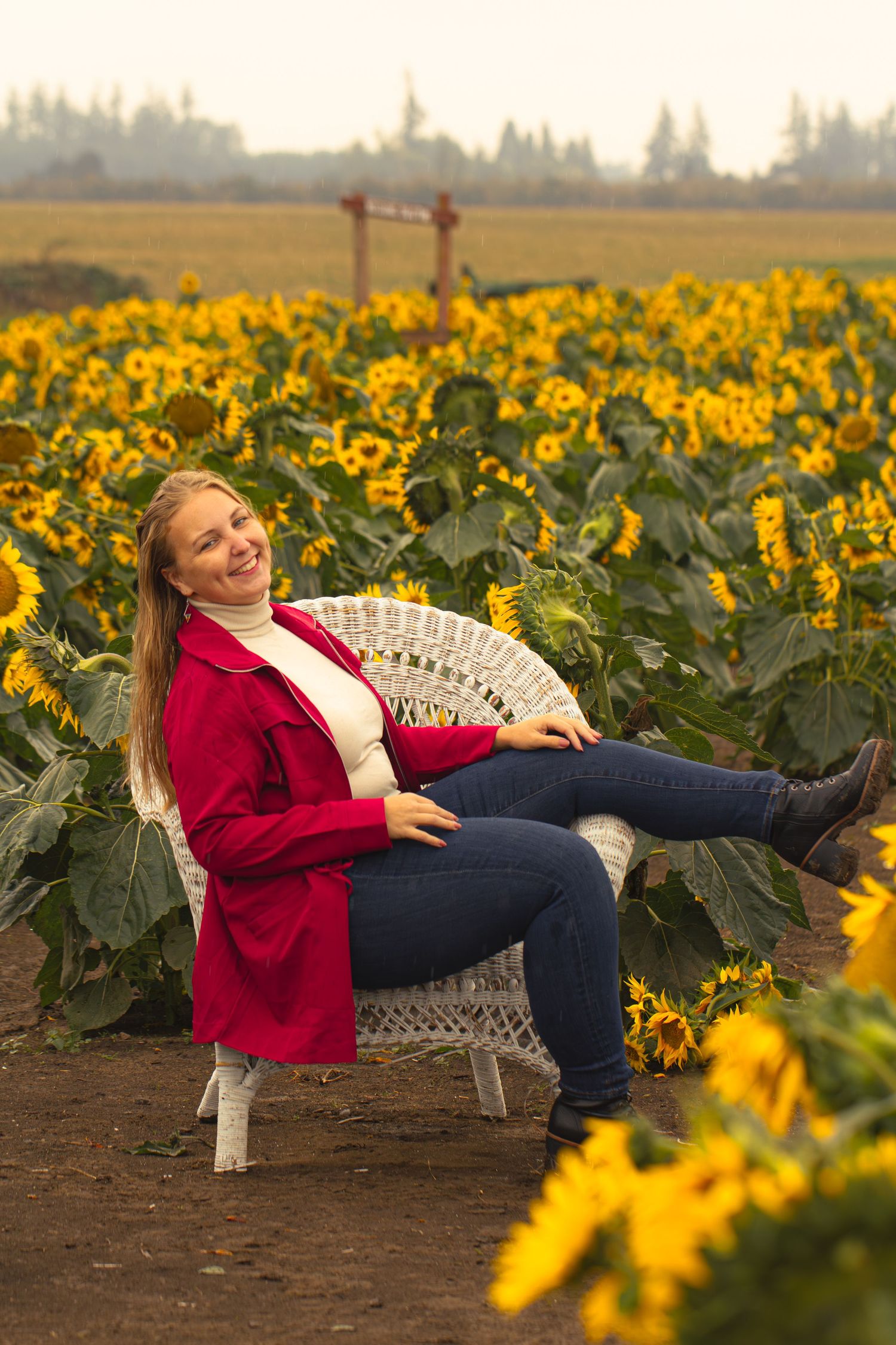 Photographer in red jacket sits among vibrant sunflower field during overcast day, creating rustic autumn atmosphere.