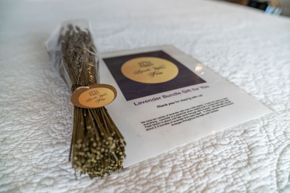 Airbnb welcome letter with a bundle of lavender, creating a warm and inviting atmosphere for guests.