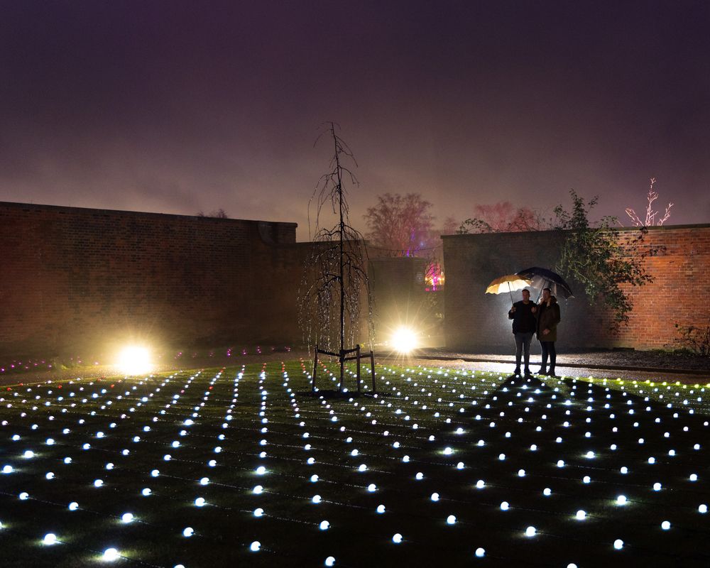 Two silhouettes with umbrella stand amid glowing LED lights during nighttime display at illuminated outdoor installation.