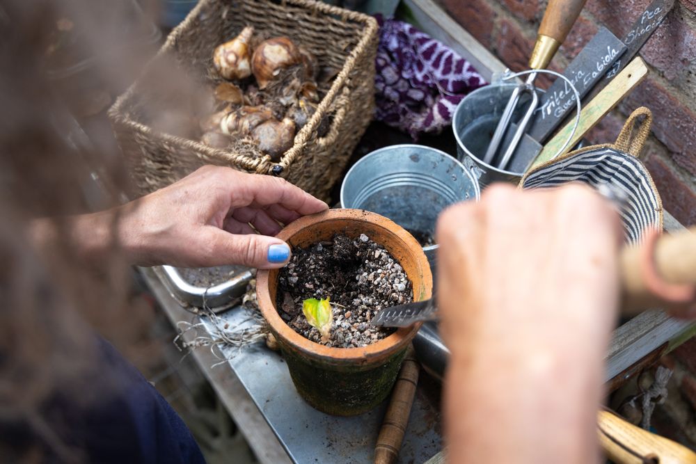 Hands planting seeds in a small terracotta pot with soil and gardening supplies nearby.