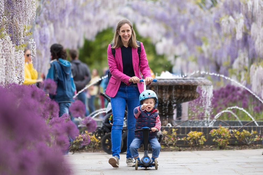 Parent pushing toddler on ride-on toy through garden with blooming purple wisteria flowers.