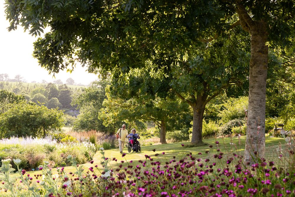 A scenic garden path bordered by colorful echinacea flowers and tall trees creating a natural walkway in summer.