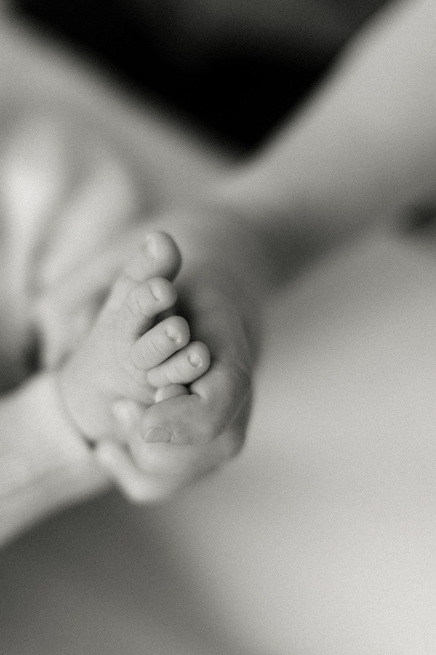 Black and white macro shot of tiny baby toes showing delicate details.