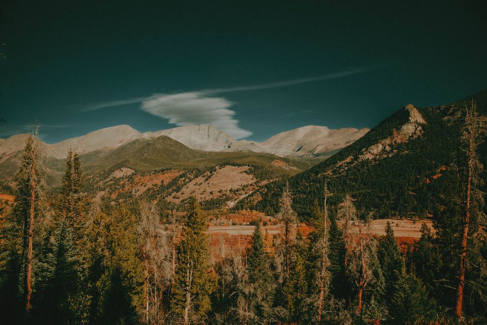 Rocky Mountain National Park Colorado Photography Elopement Adventure Photographer Wildlife Nature Mountains