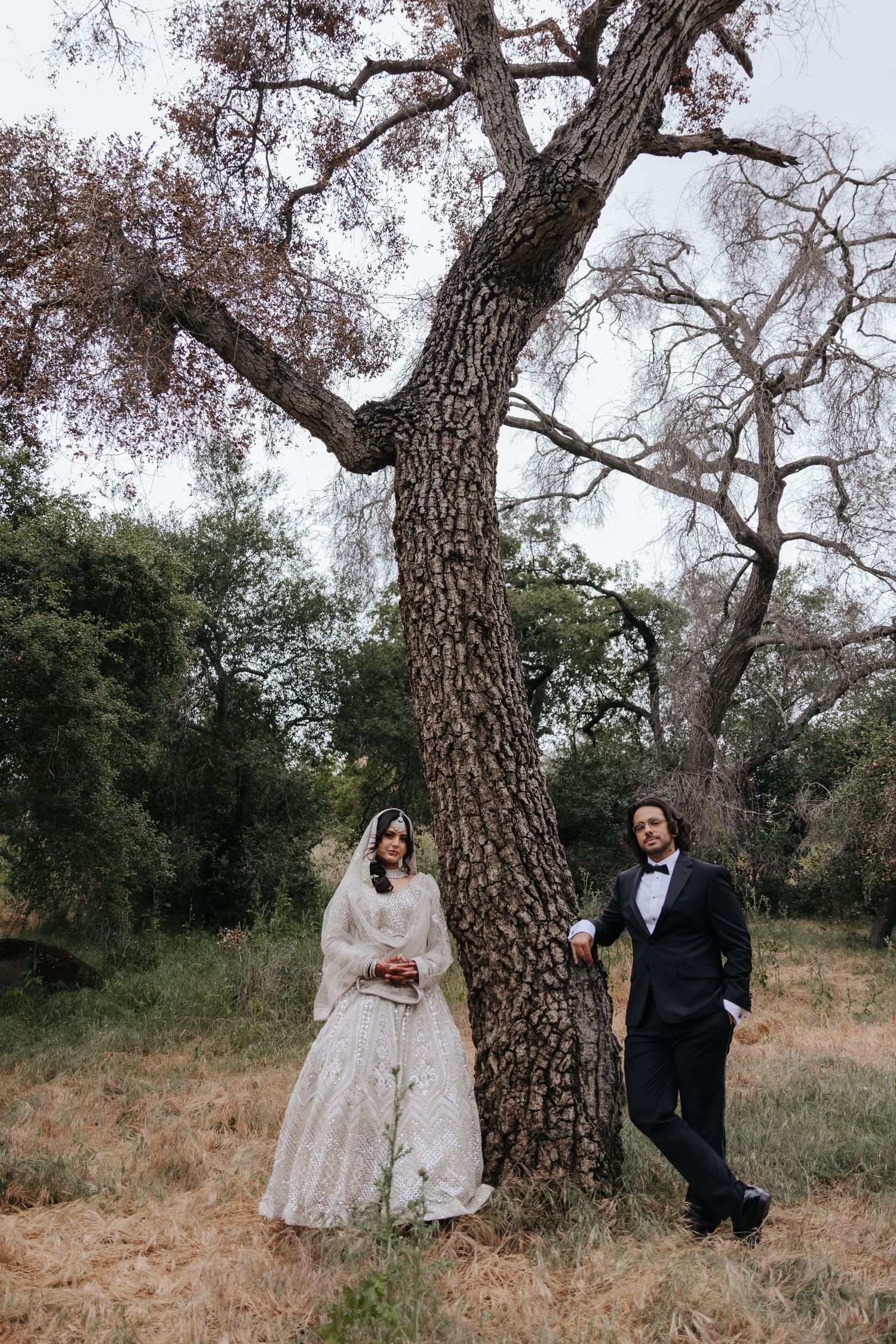 Wedding photography sequence showing couple's romantic poses beneath a large oak tree.