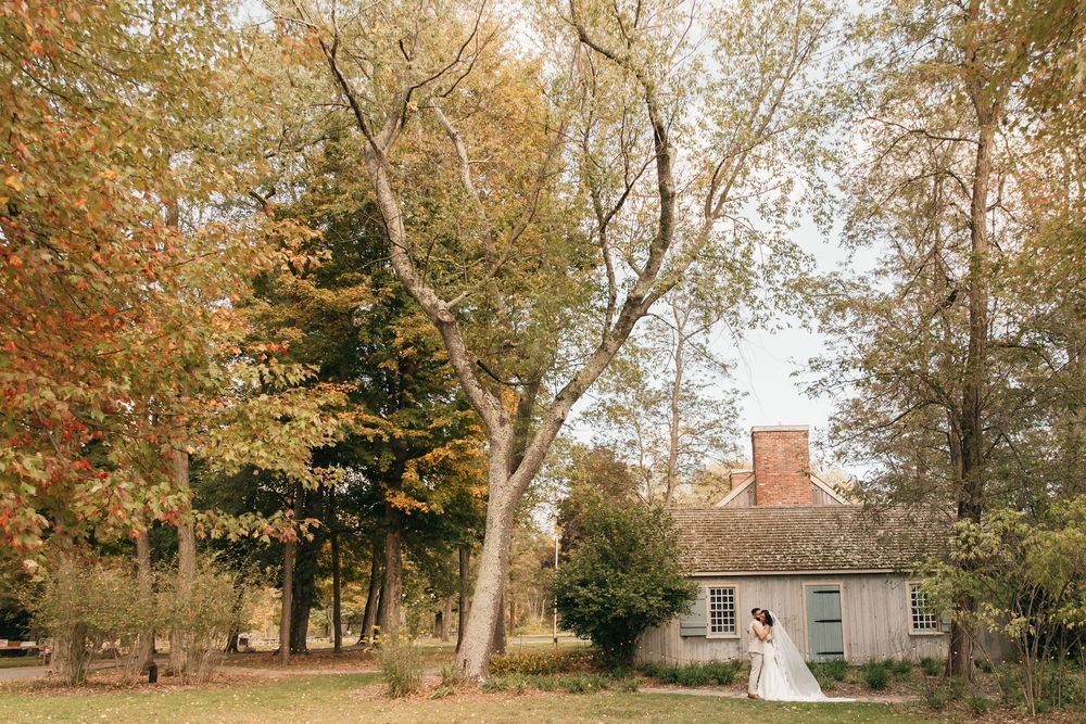 A quaint gray cottage nestled among tall autumn trees with golden foliage in a serene woodland setting.