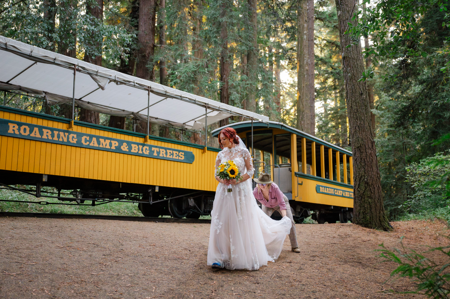 A vintage Roaring Camp railroad train car provides a scenic backdrop in a redwood forest.