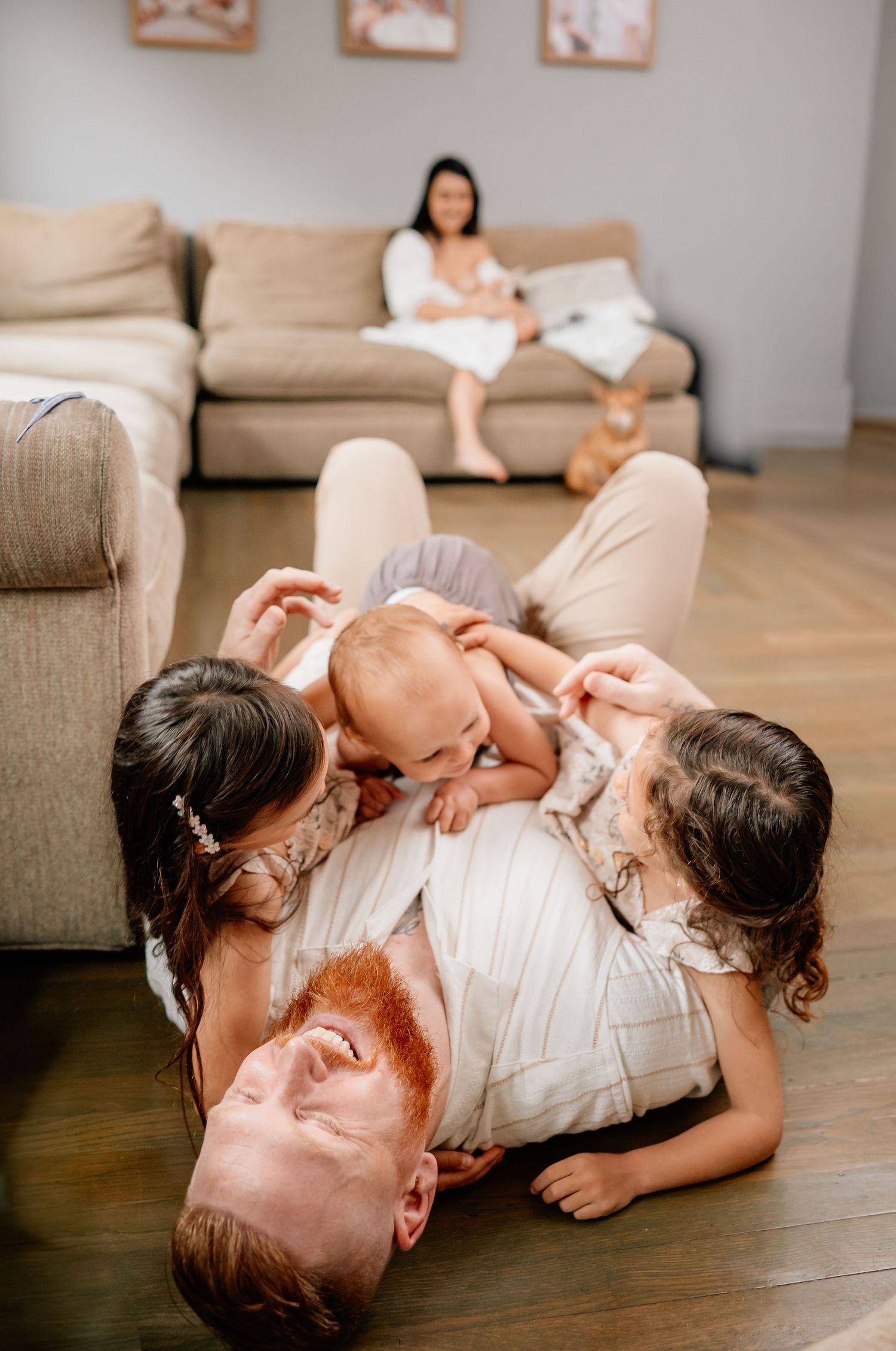 Four connected images showing a cozy scene on a hardwood floor with a beige couch in the background.