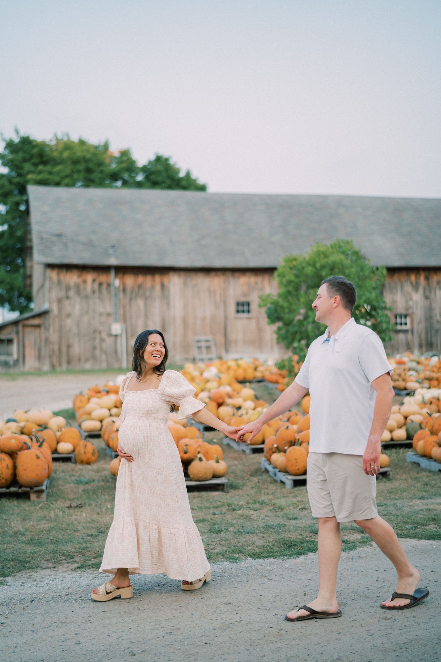 A countryside scene with pumpkins scattered around as a couple walks along a gravel path.