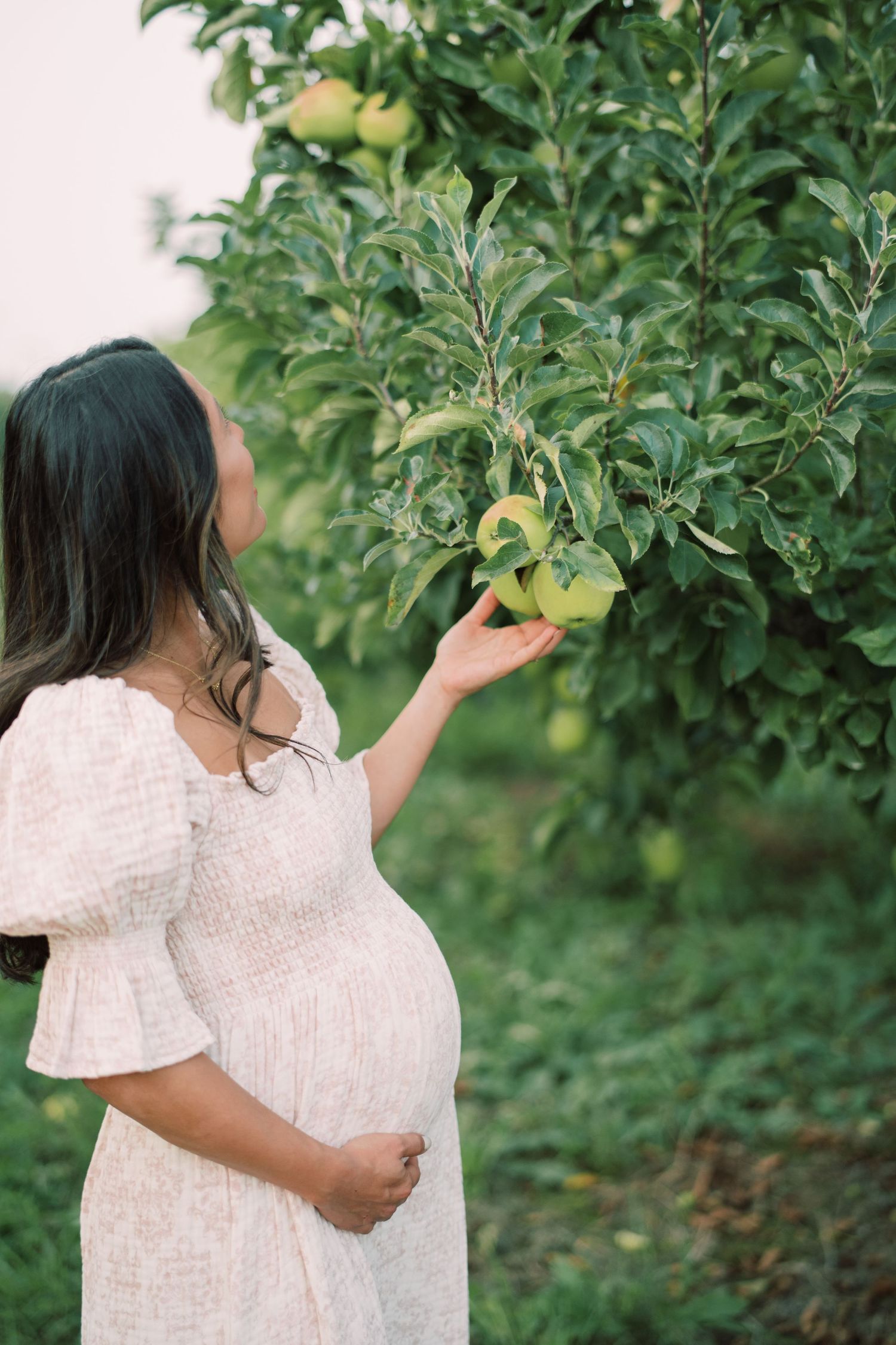Reaching for apples in an orchard while wearing a white off-shoulder dress.