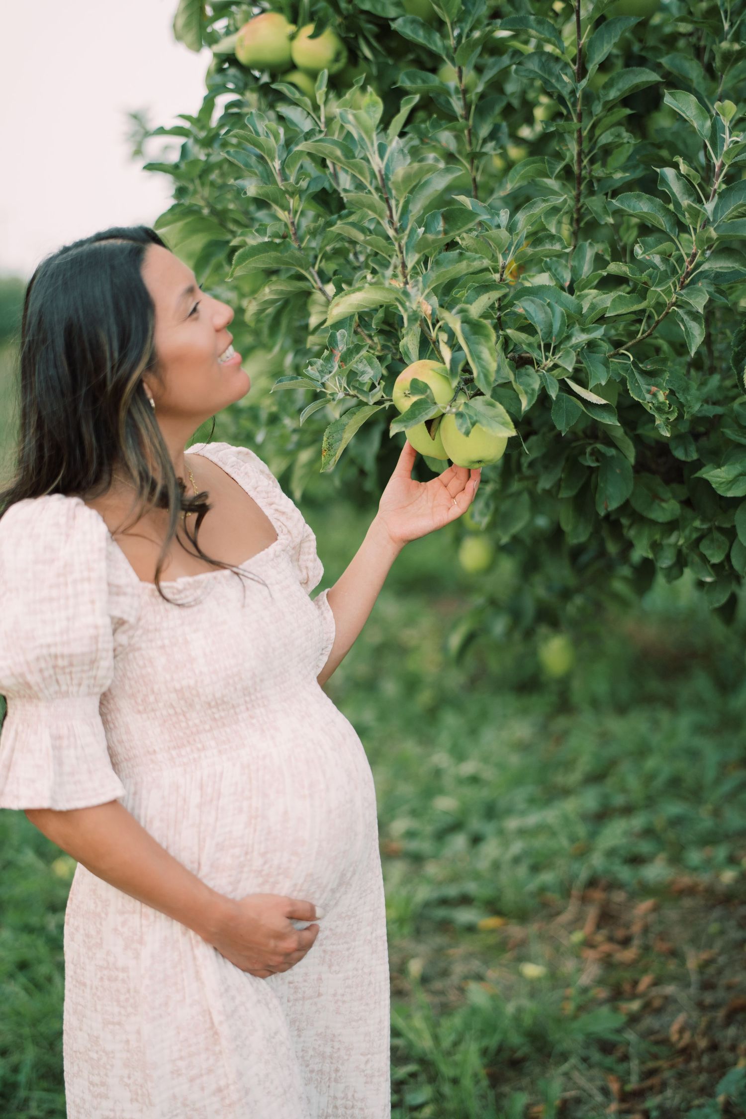 A pregnant woman in a white dress reaches for apples in an orchard on a sunny day.
