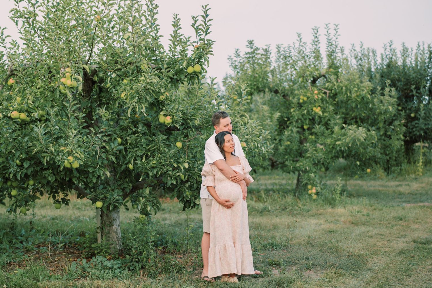 A serene maternity photo captured in a lush apple orchard at golden hour.
