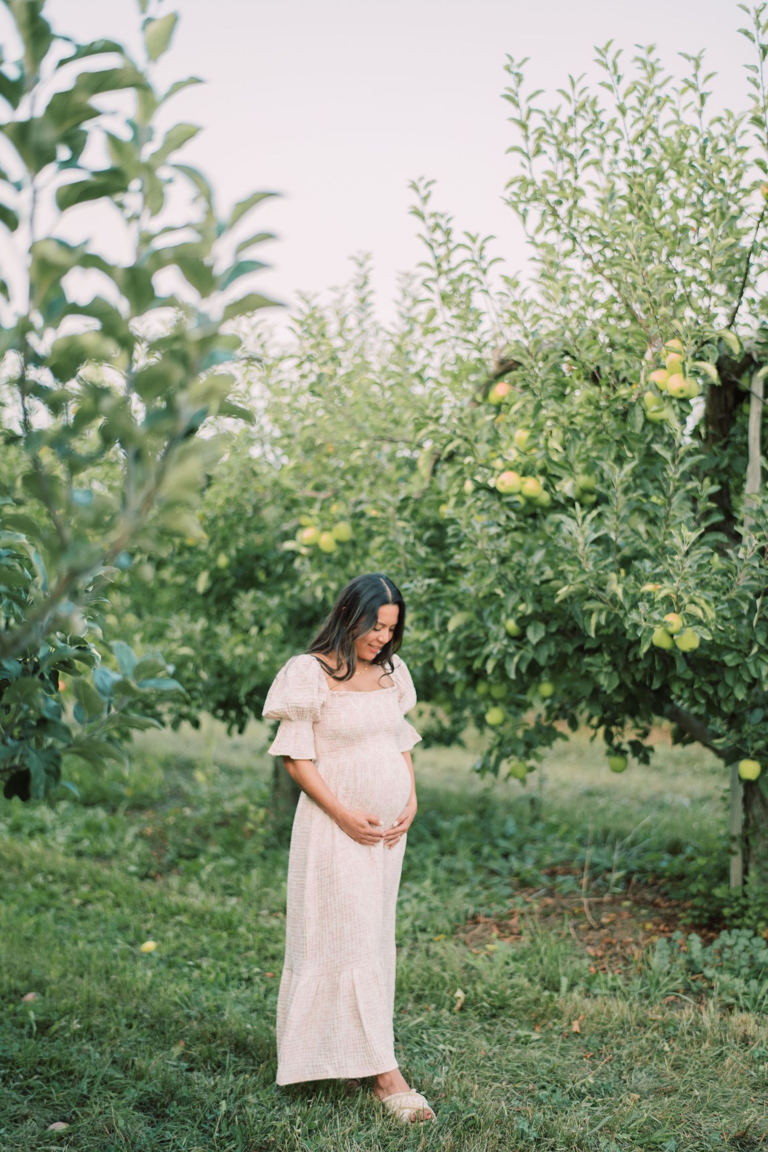 A peaceful maternity moment captured among apple trees in soft natural light.