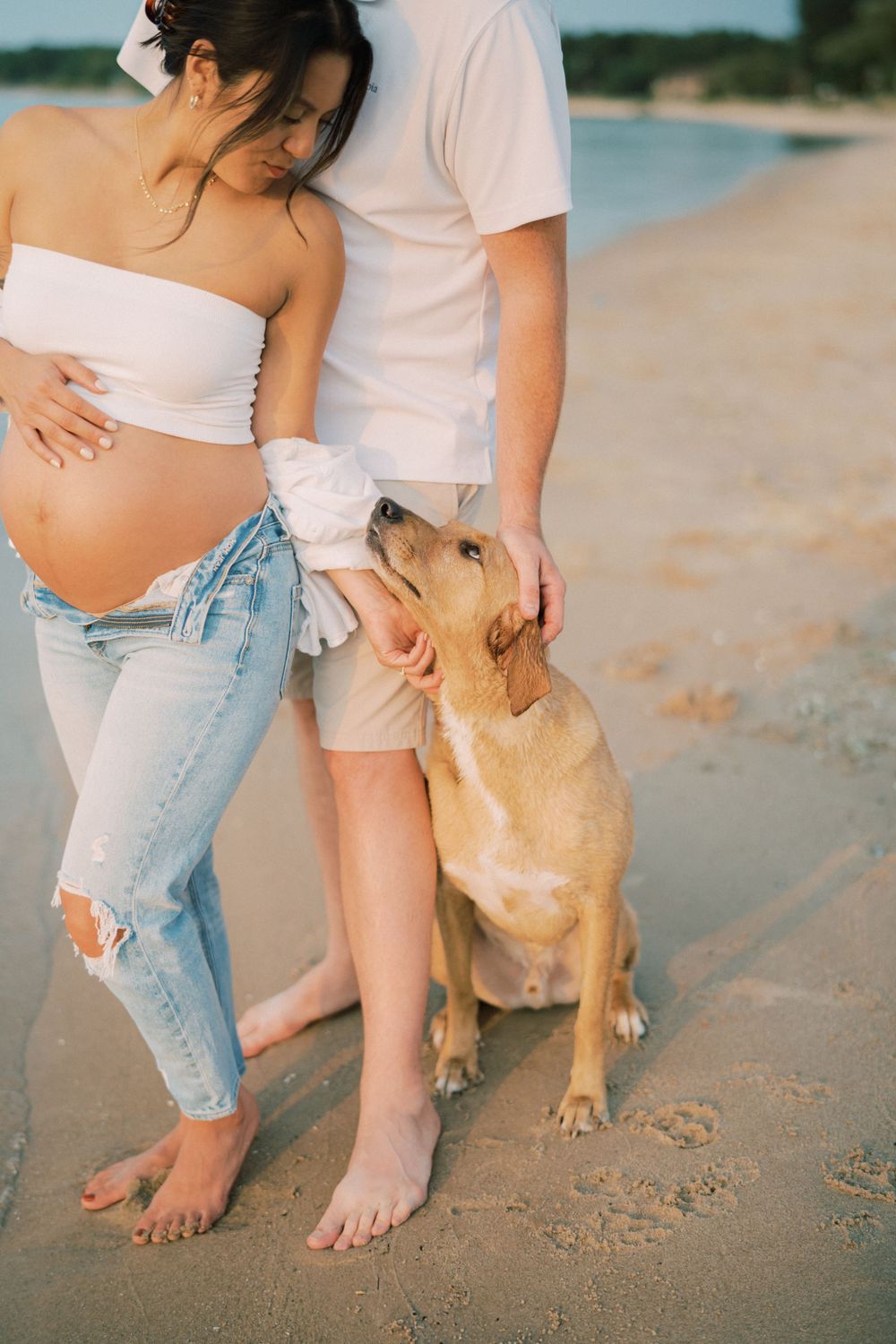 Couple with golden retriever dog enjoying moment together on beach during maternity photoshoot.