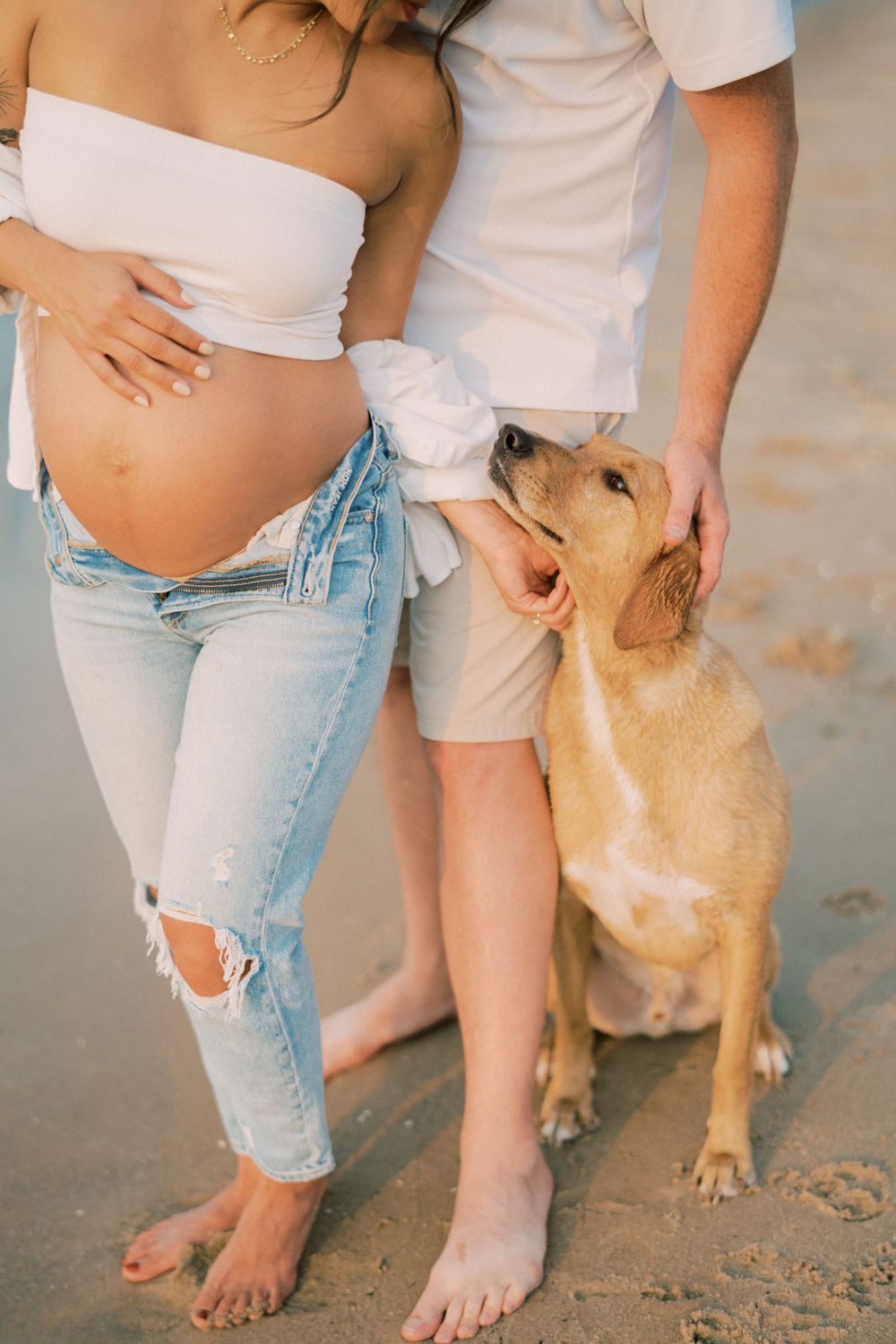 A casual maternity photo on the beach features ripped jeans and a friendly golden lab dog looking upward.