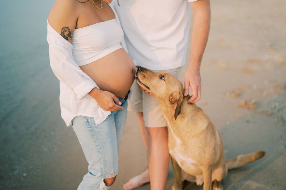 Close-up of couple with happy dog on beach during maternity session.