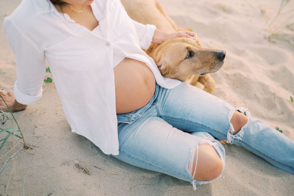A relaxed beach maternity photo shows distressed jeans and a gentle dog resting beside the subject.