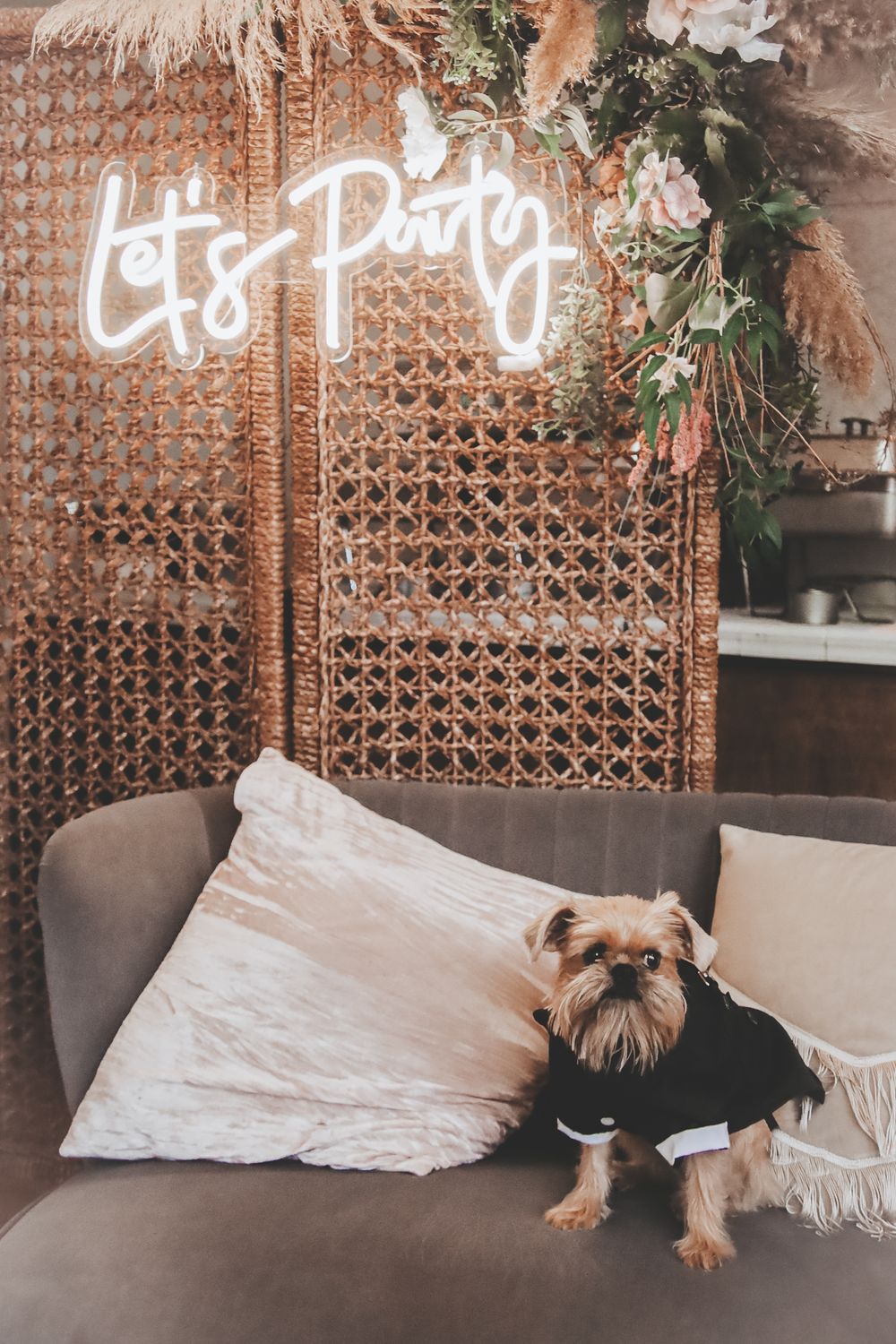 Small dog wearing black sweater sits on gray couch beneath neon 'Let's Party' sign and floral decor.