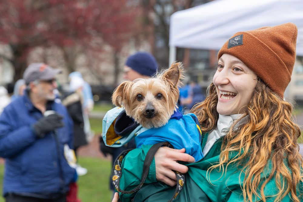 Small brown Yorkshire Terrier dog wearing teal jacket held by person in orange beanie at outdoor community event.