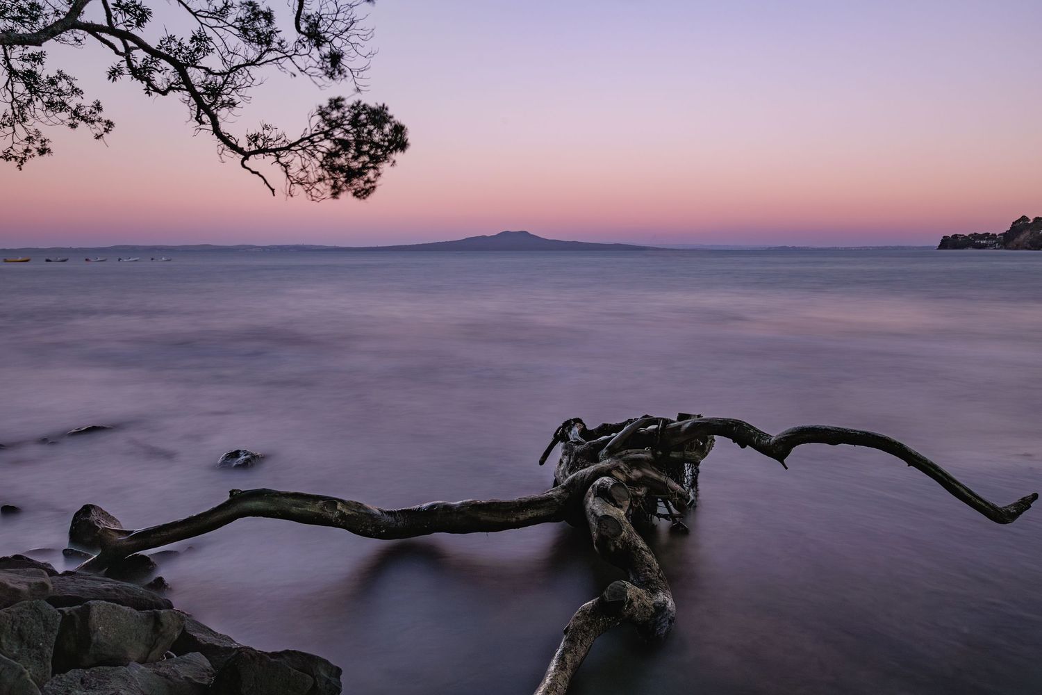 Driftwood log on rocky shore at sunset with calm water and distant mountain silhouette in pink twilight sky.