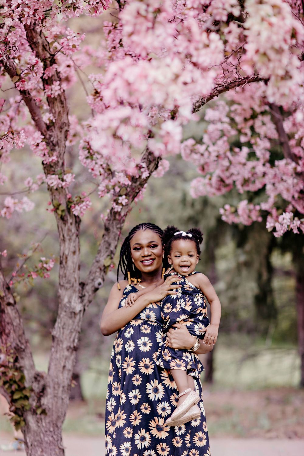 A beautiful spring scene with blooming cherry blossoms set against a blurred natural background.