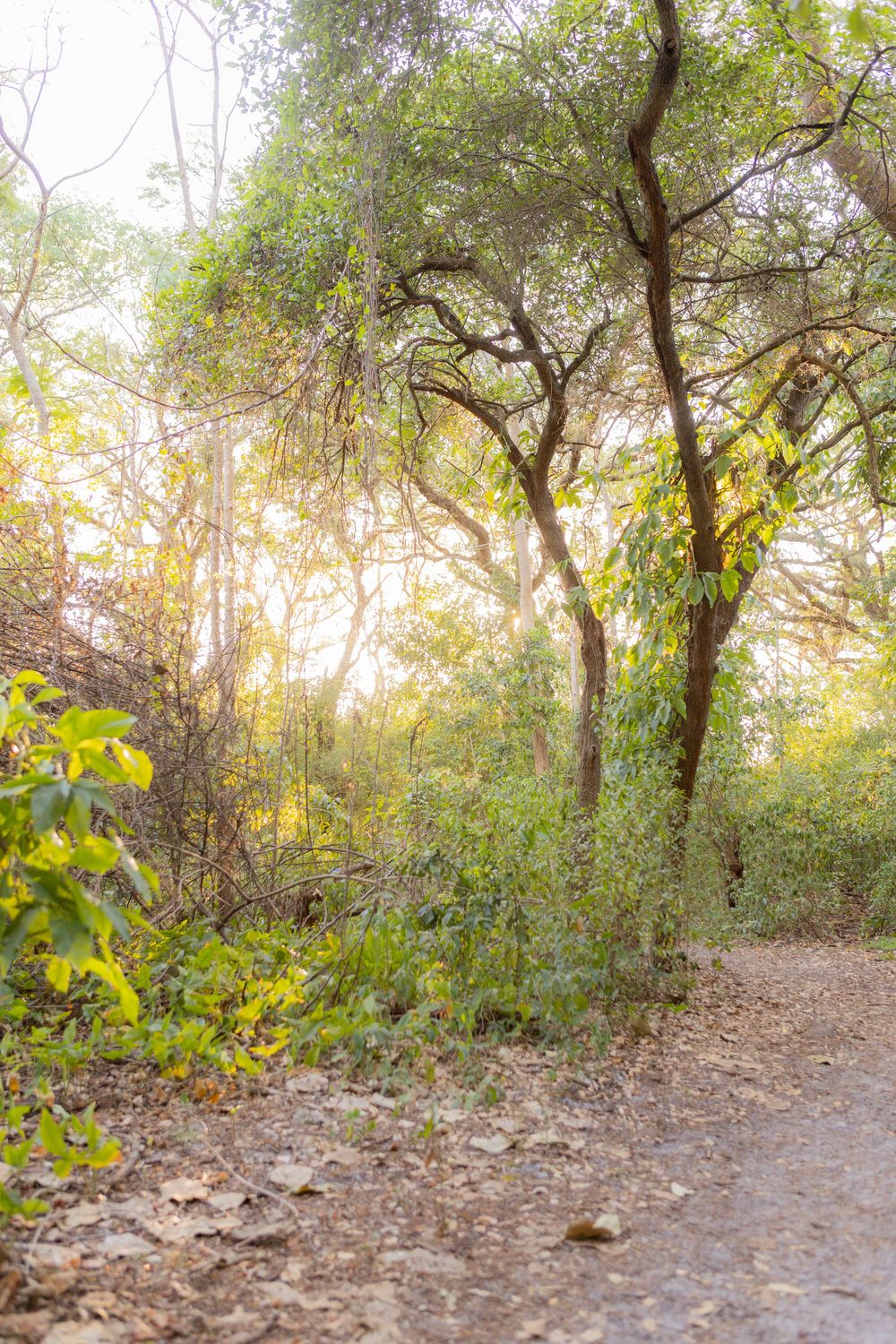 free things to do with your kids in south florida