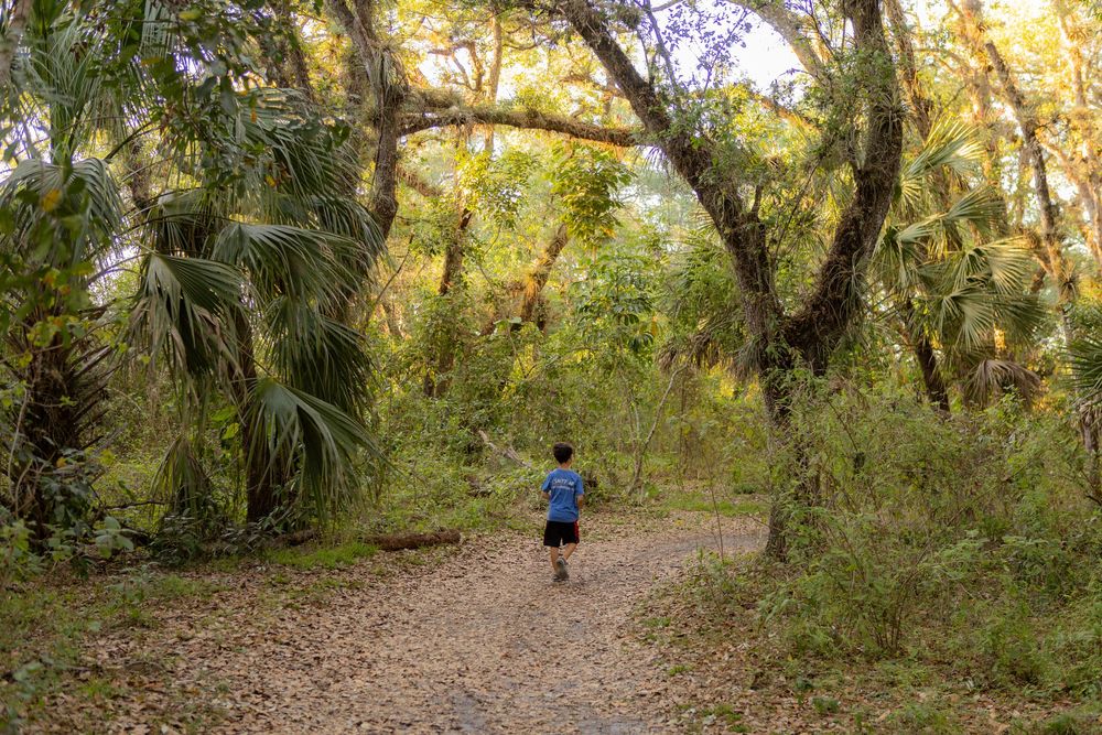 free things to do with your kids in south florida