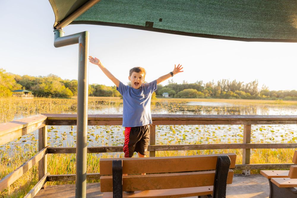 free things to do with your kids in south florida