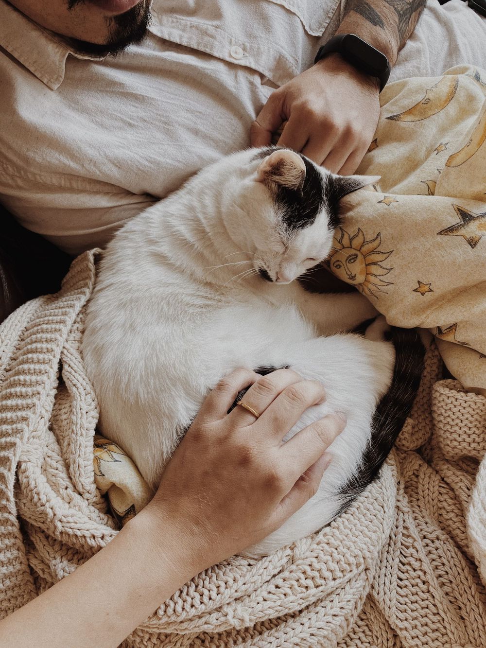 Hands gently petting a sleeping white and grey cat nestled in a knitted blanket.