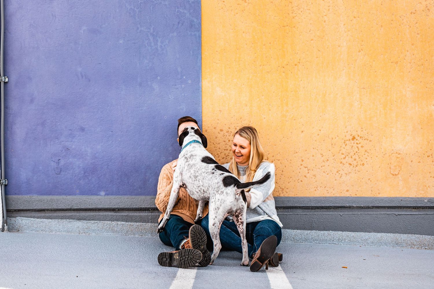 A person wearing jeans and a sweater squats with their large spotty dog against a colorful purple and orange wall.
