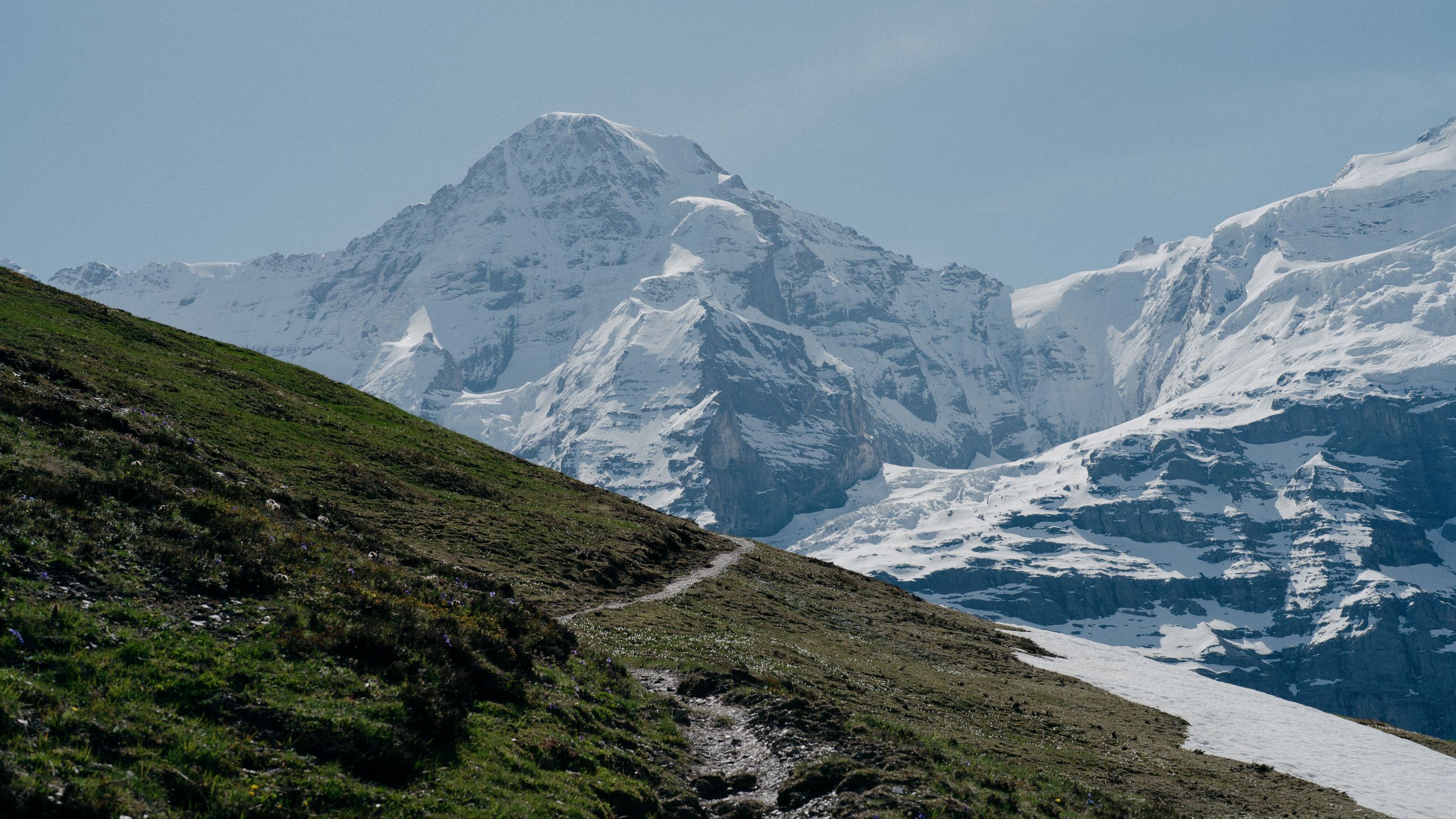 Snow-capped mountains tower over a green alpine meadow filled with white wildflowers along a winding path.