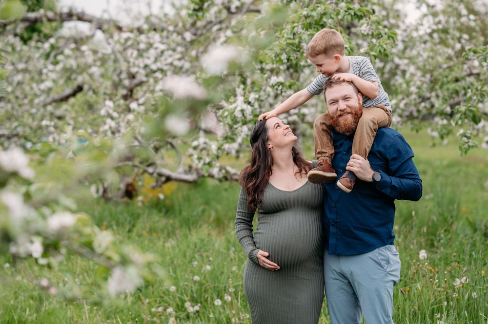 A family standing in a blooming spring orchard with white flowers surrounded by lush green grass.