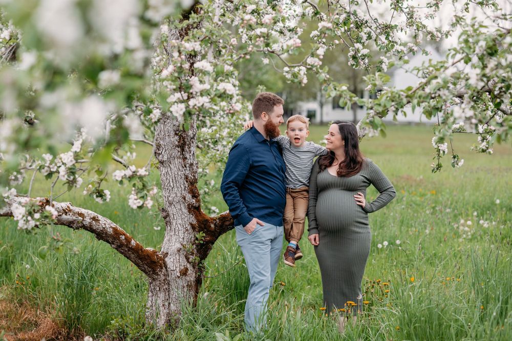 Family spending time together under blooming apple trees in a spring orchard.