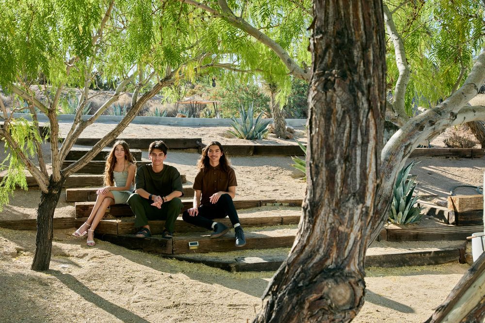 People relax on wooden benches under a drooping willow tree on a sunny afternoon.